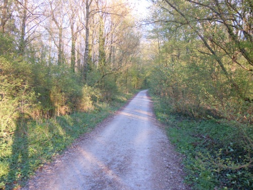 дорога жизни дорога жизни