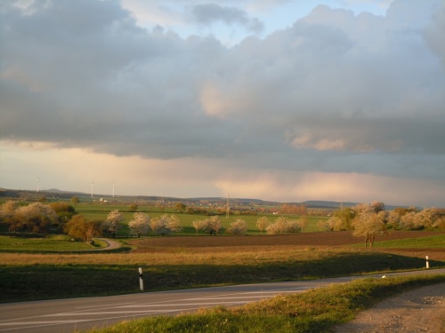 мирное небо новой временной отчизны мирное небо новой временной отчизны