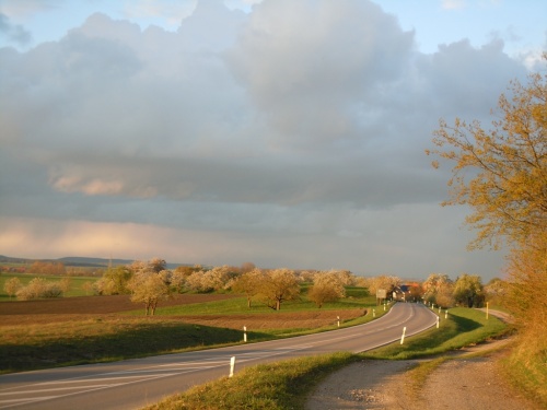 поселение аккуратистов вдали поселение аккуратистов вдали