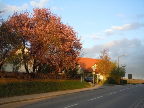 миленько так в лучах заката миленько так в лучах заката