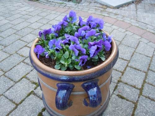 радость жизни радость жизни