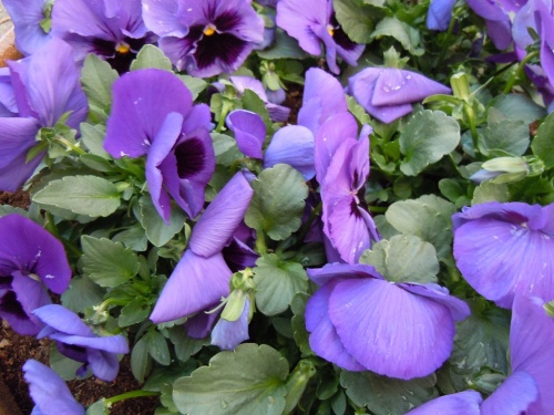 на заставку на заставку