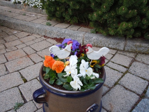 близнецы близнецы