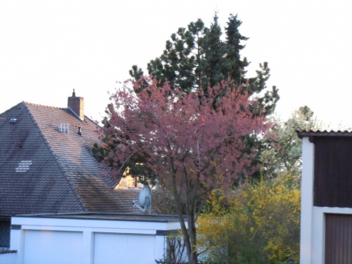 близко близко