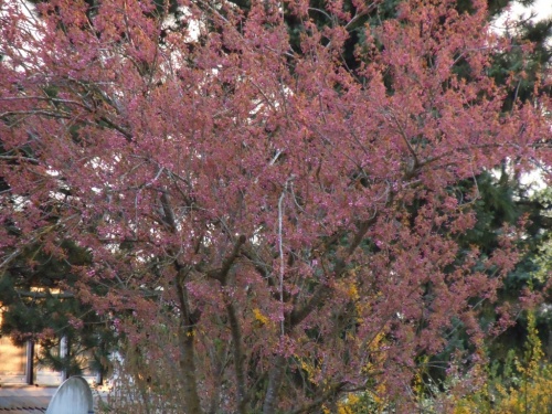 суперблизко суперблизко
