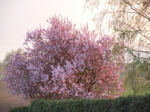 близко близко