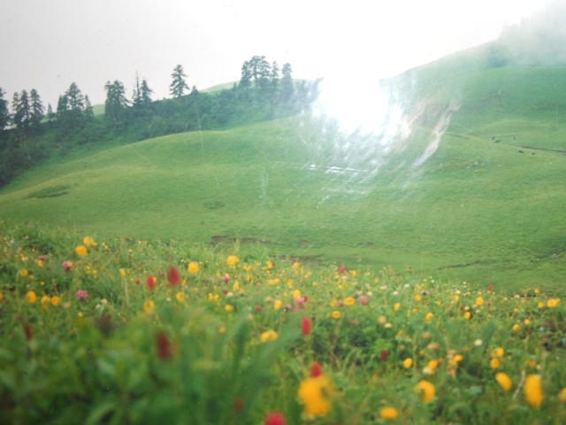 фото из Индии ещё до меня фото из Индии ещё до меня