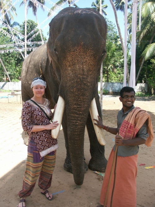 храмовый слон