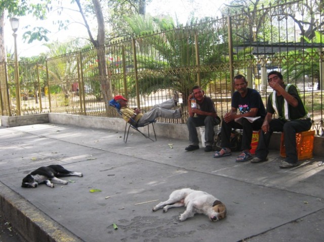 ,      ?. ,    .  -  -,  -