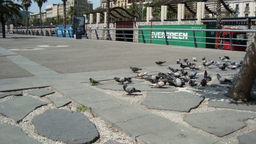 Фото 2 Фото 2