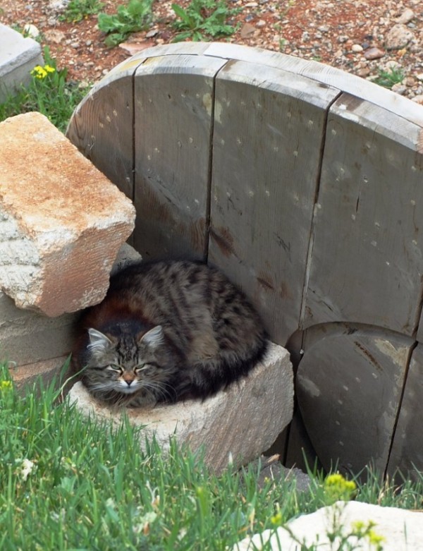   .      .         , ,        .