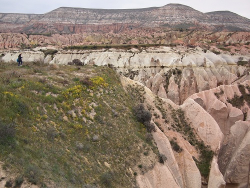 ,    ?      ,  .    ,    ,   - !