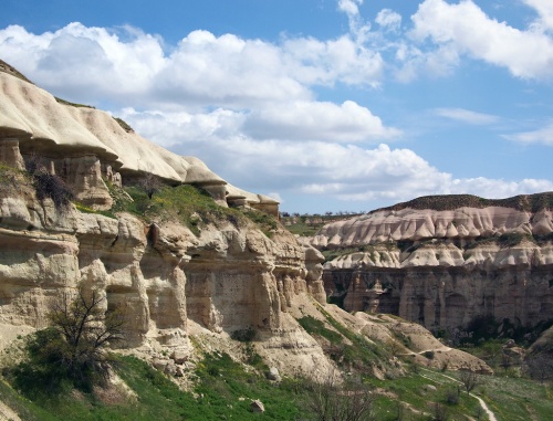  ,      .  ,    .       .