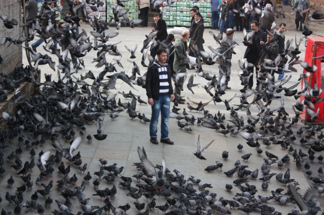 Фото 4 Фото 4