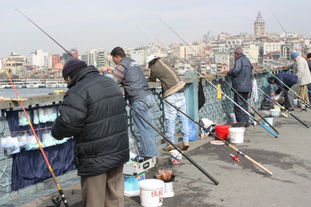 Фото 5 Фото 5