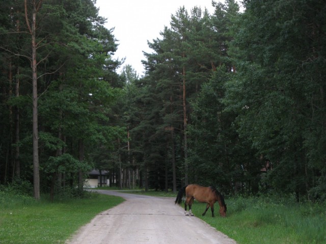 " !"    ,  -  ,       .     ...