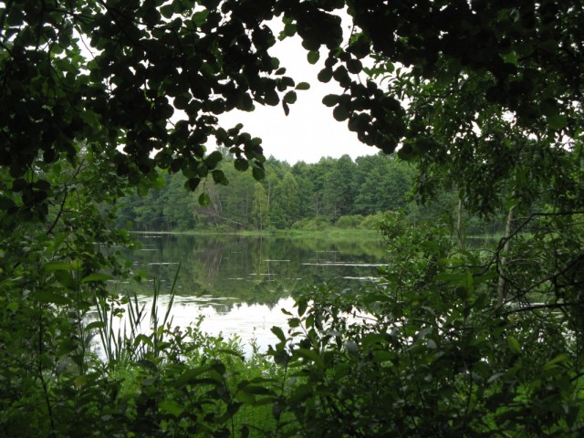   ,       .       .  Soodajaerv...