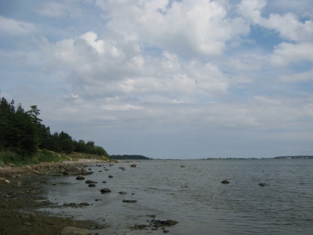    ,   ,       -    -    .