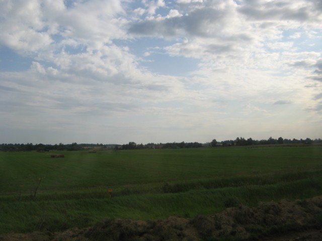 Поля Родины... Поля Родины...