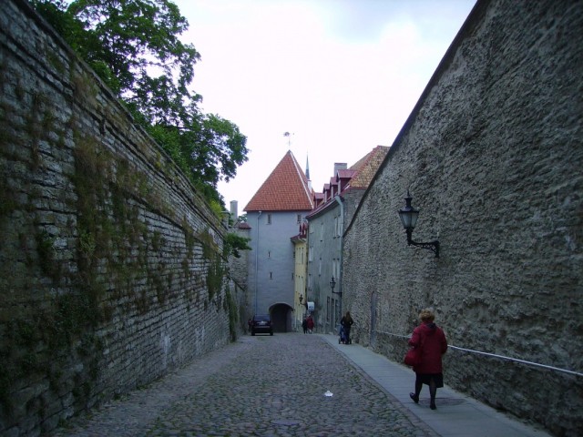 Старый Таллинн Старый Таллинн