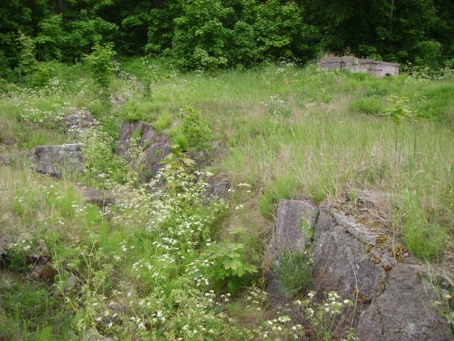 Остатки окопов СА Остатки окопов СА