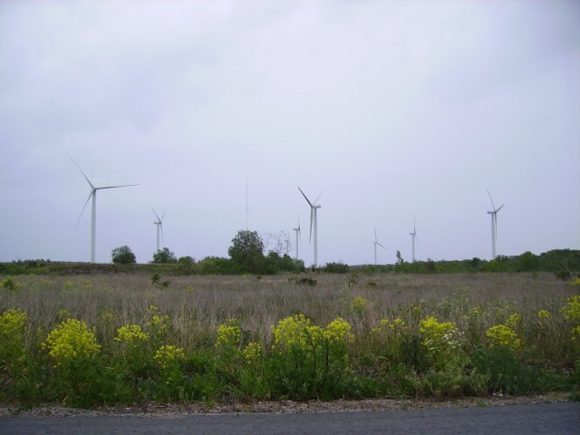 Ветряки. В 2011 их было видно аж с самого пляжа в Клоогаранд... Ветряки. В 2011 их было видно аж с самого пляжа в Клоогаранд...