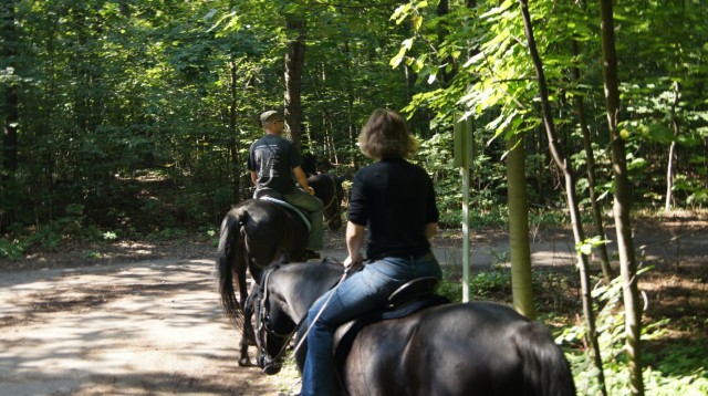 ...и пошли... ...и пошли...