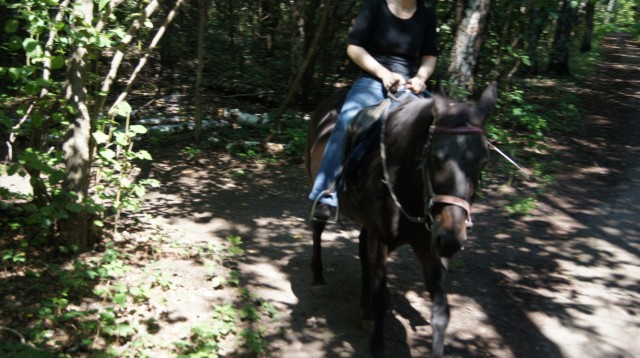 Фото 3 Фото 3