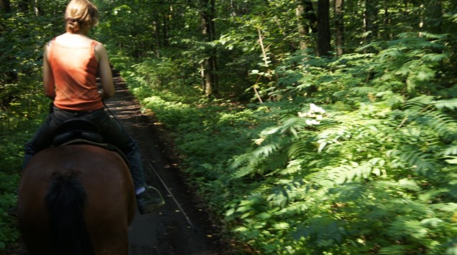 Фото 1 Фото 1