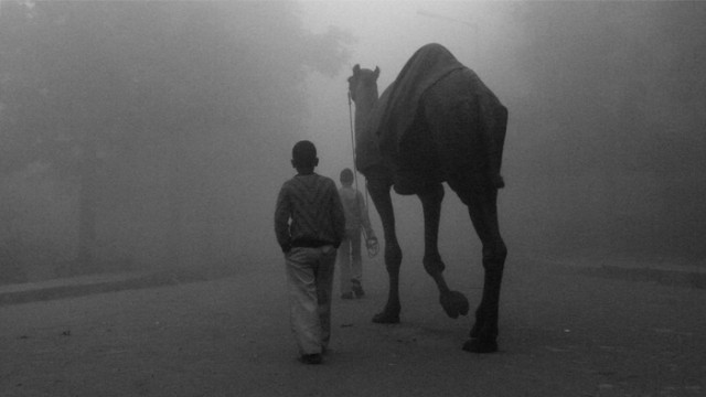 Фото 2 Фото 2