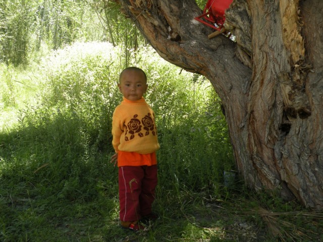 Stanzin Nawang Jigmed Wangchuk