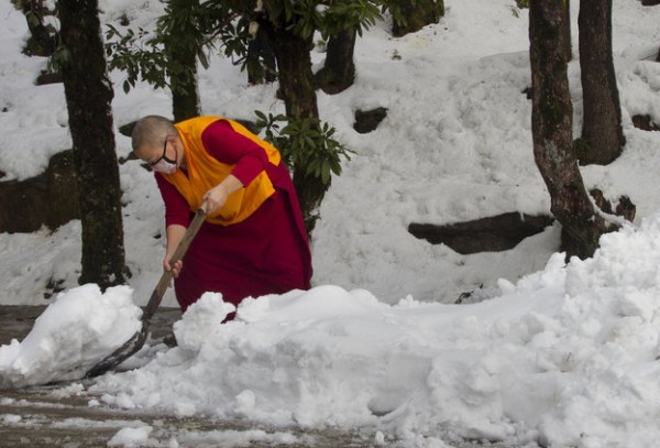 AP Photo/Ashwini Bhatia