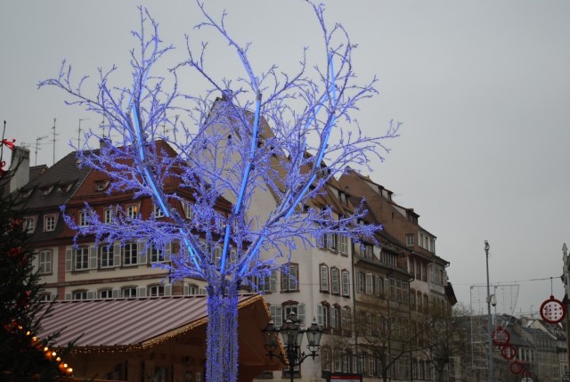 голубое дерево голубое дерево