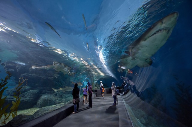 Siam Ocean World