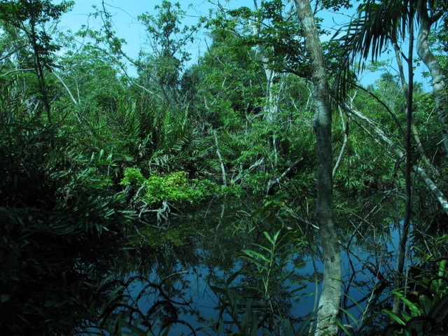 Shevron national park