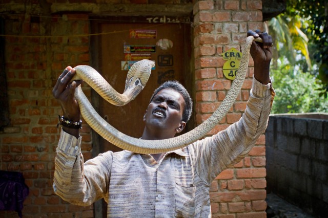 ... (   ,      ...        )