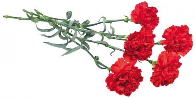 Фото 1 Фото 1