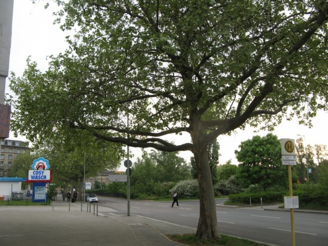 Guten Morgen, Deutschland!