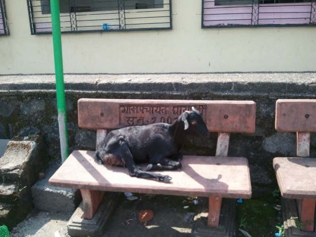   -03.    :     2:00 ..