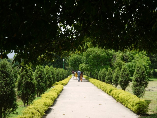 Парк рядом с мемориалом Парк рядом с мемориалом