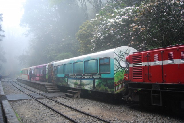 лесной поезд