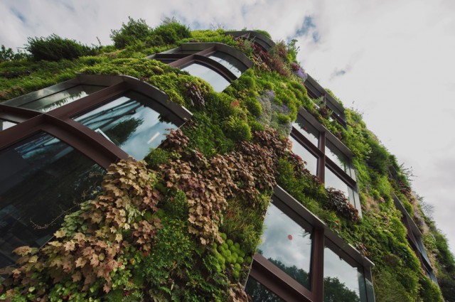 вот такие вот дома вот такие вот дома