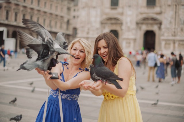 кормление голубей обязательная процедура кормление голубей обязательная процедура