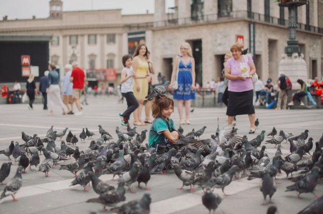 очень много голубей ))) очень много голубей )))