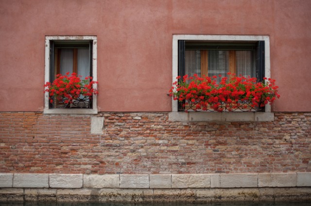 за всеми окнами обязательно цветочки за всеми окнами обязательно цветочки