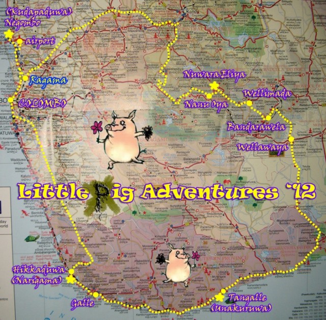 Little Pig Adventures '12