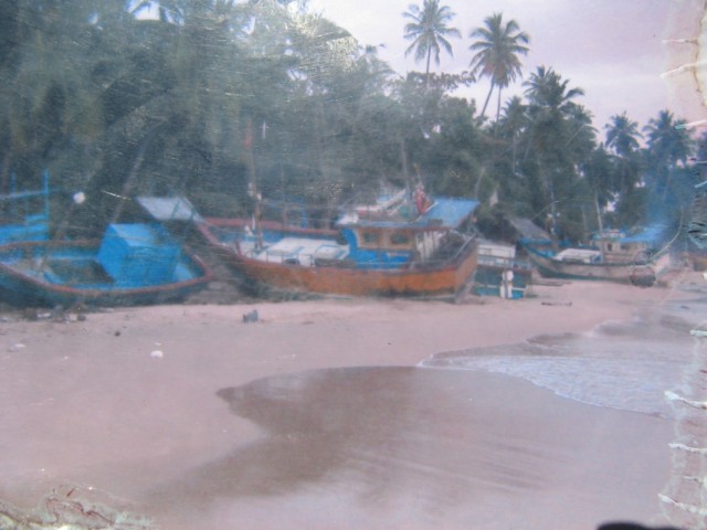 26  2004. ,        ()