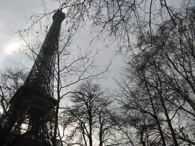 Веееетки %-))) Веееетки %-)))