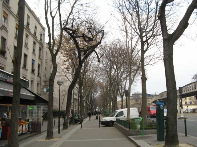 Кривое Дерево Кривое Дерево