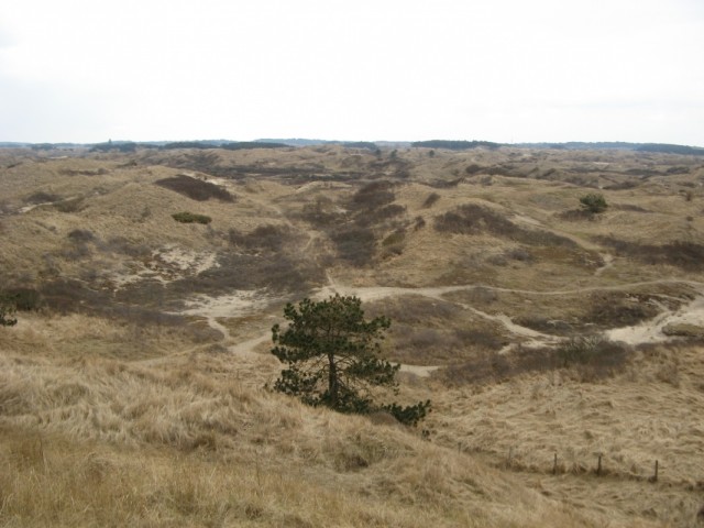 О! Какой-то типа парк с песчаными дюнами! Летом тут, наверняка, кааайф!))) О! Какой-то типа парк с песчаными дюнами! Летом тут, наверняка, кааайф!)))